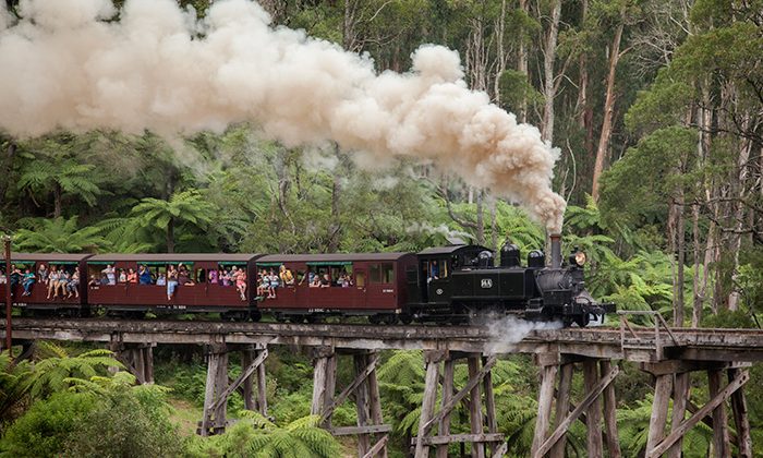 Puffing-Billy-Black-Loco---Courtesy-Puffing-Billy