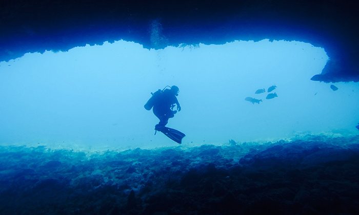 Reef-Dive